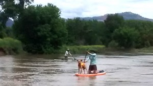 stand up paddle board on the animas river durango colorado