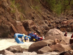 Upper Animas River Mandatory Thrashing Rapid