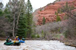 Rafting near Telluride on the San Miguel - Half Day Trips