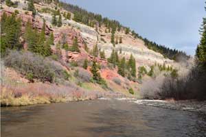 Rafting near Telluride on the San Miguel - Full Day Trips