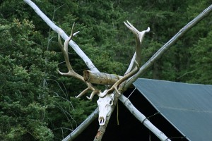 Elk Skull Camp Needlton