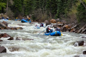 10 Mile Rapid, Class IV, mile 8, Silverton Stretch at low water with Mountain Waters Rafting