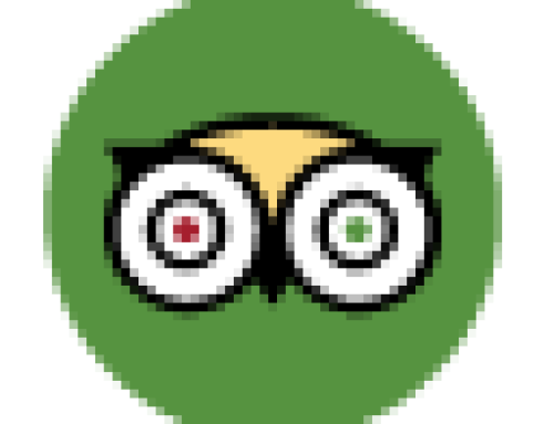 Review – Trip Advisor 00